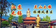 肏B视频江苏无锡灵山大佛旅游风景区