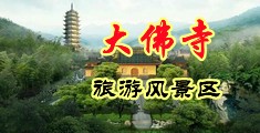 啊啊啊，挨鸡巴操了视频中国浙江-新昌大佛寺旅游风景区